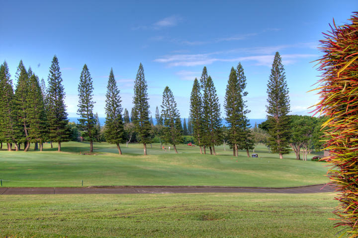 Golf Villas At Kapalua - Maui Condo And Home Eksteriør billede